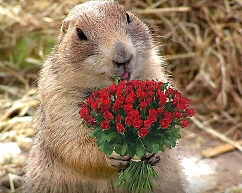 Performance optimization